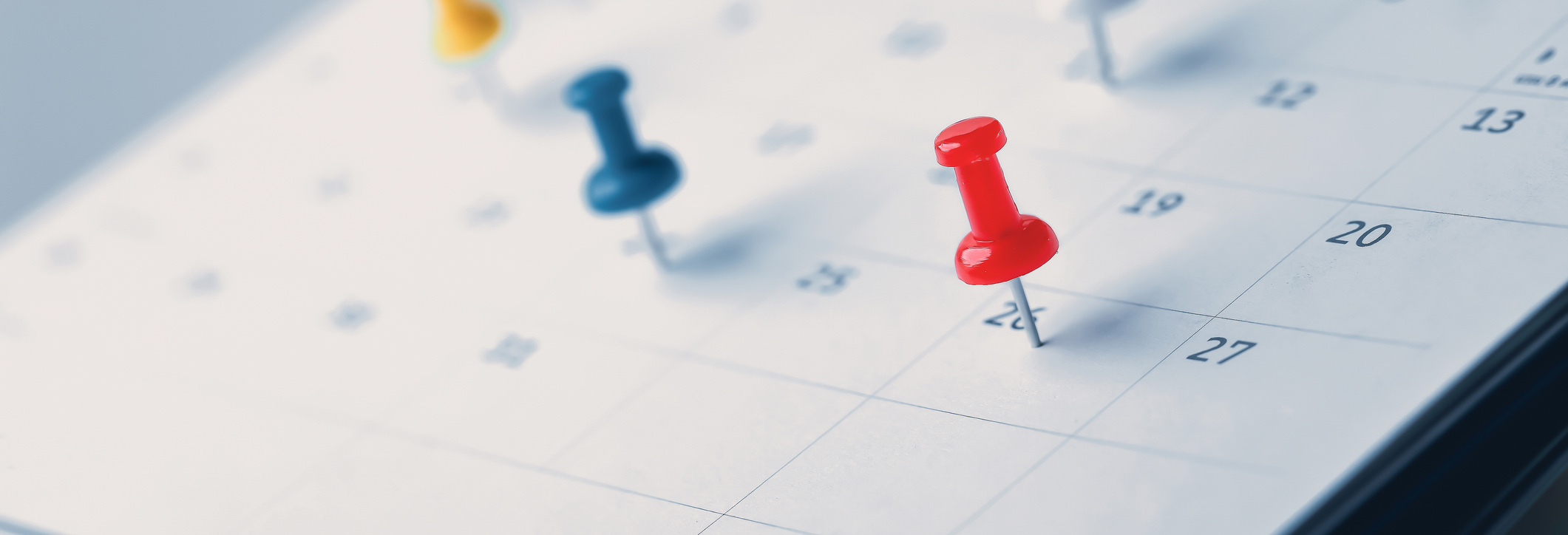Program Calendars